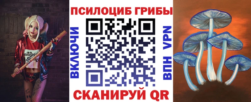 Псилоцибиновые грибы Psilocybine cubensis  Купить закладки  Елабуга 