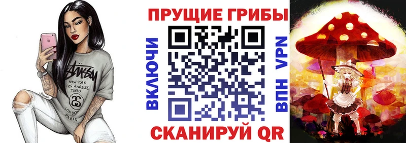 Псилоцибиновые грибы мухоморы Елабуга