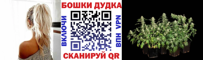 Бошки Шишки семена  Купить закладки  Елабуга 
